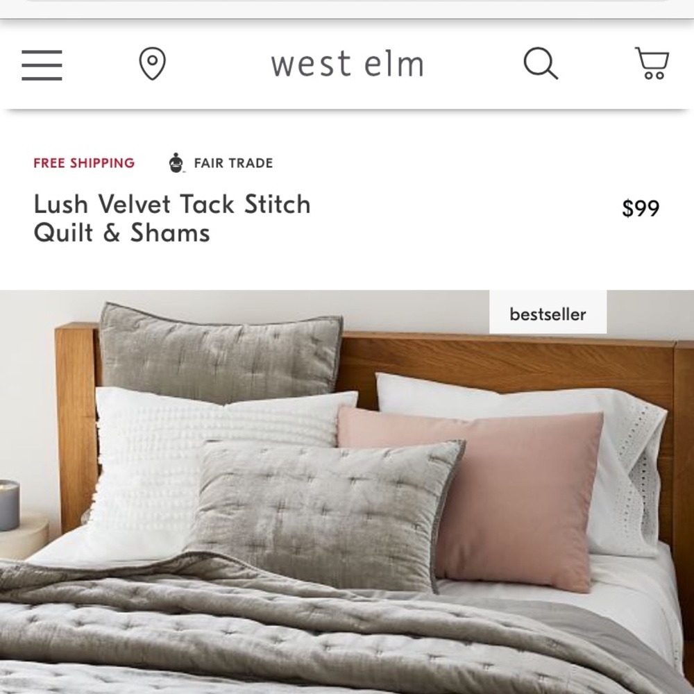 West Elm Pillow Shams